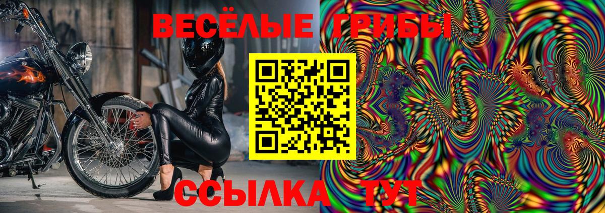 Галлюциногенные грибы Cubensis Дятьково